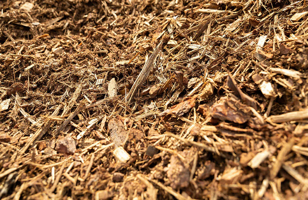 Arborist Mulch