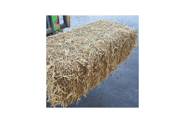 pea_straw